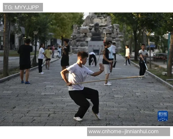 一龙挑战太极拳的背后真相与武术文化的碰撞与传承探讨