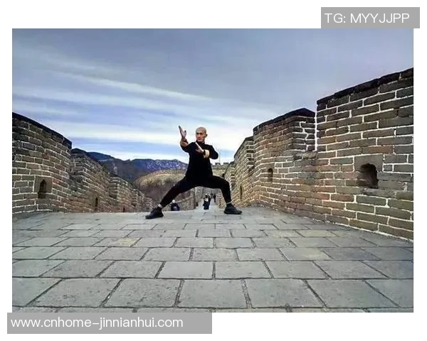 一龙挑战太极拳的背后真相与武术文化的碰撞与传承探讨